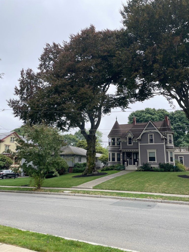 51 Bellevue Ave.